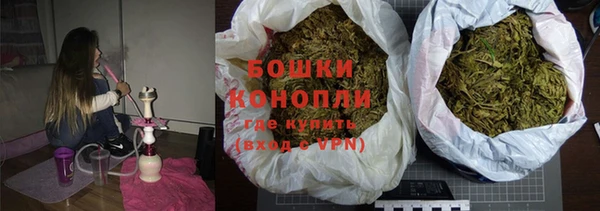 индика Абинск