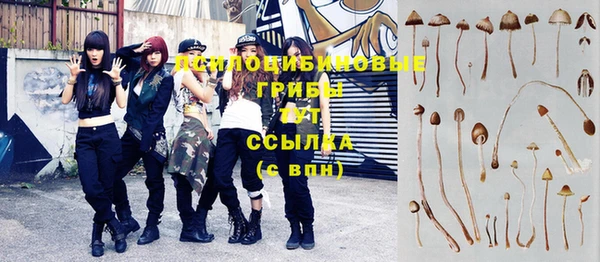индика Абинск