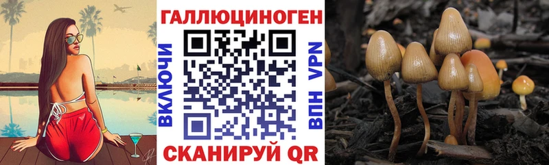 наркота Белоусово Галлюциногенные грибы Psilocybine cubensis